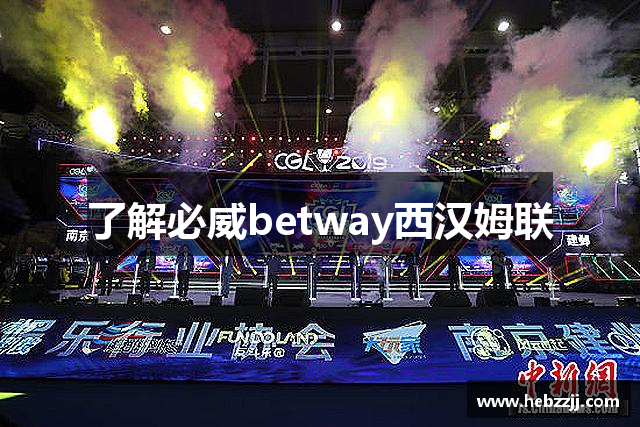 了解必威betway西汉姆联